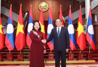 Prime Minister Meets Vice President of Vietnam